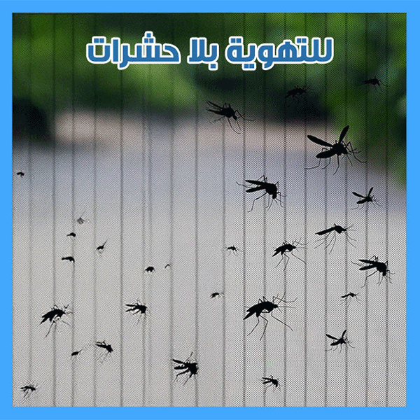 Magic Mesh - ستارة الحشرات المغناطيسية